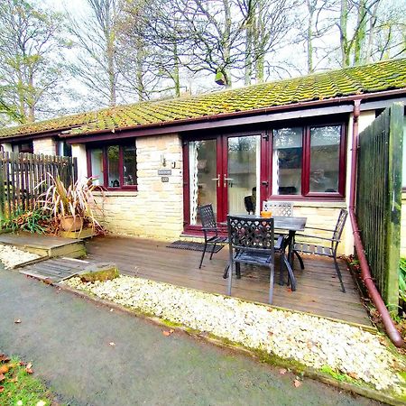 Woodland View - Families & Pets Villa Uny Lelant Bagian luar foto