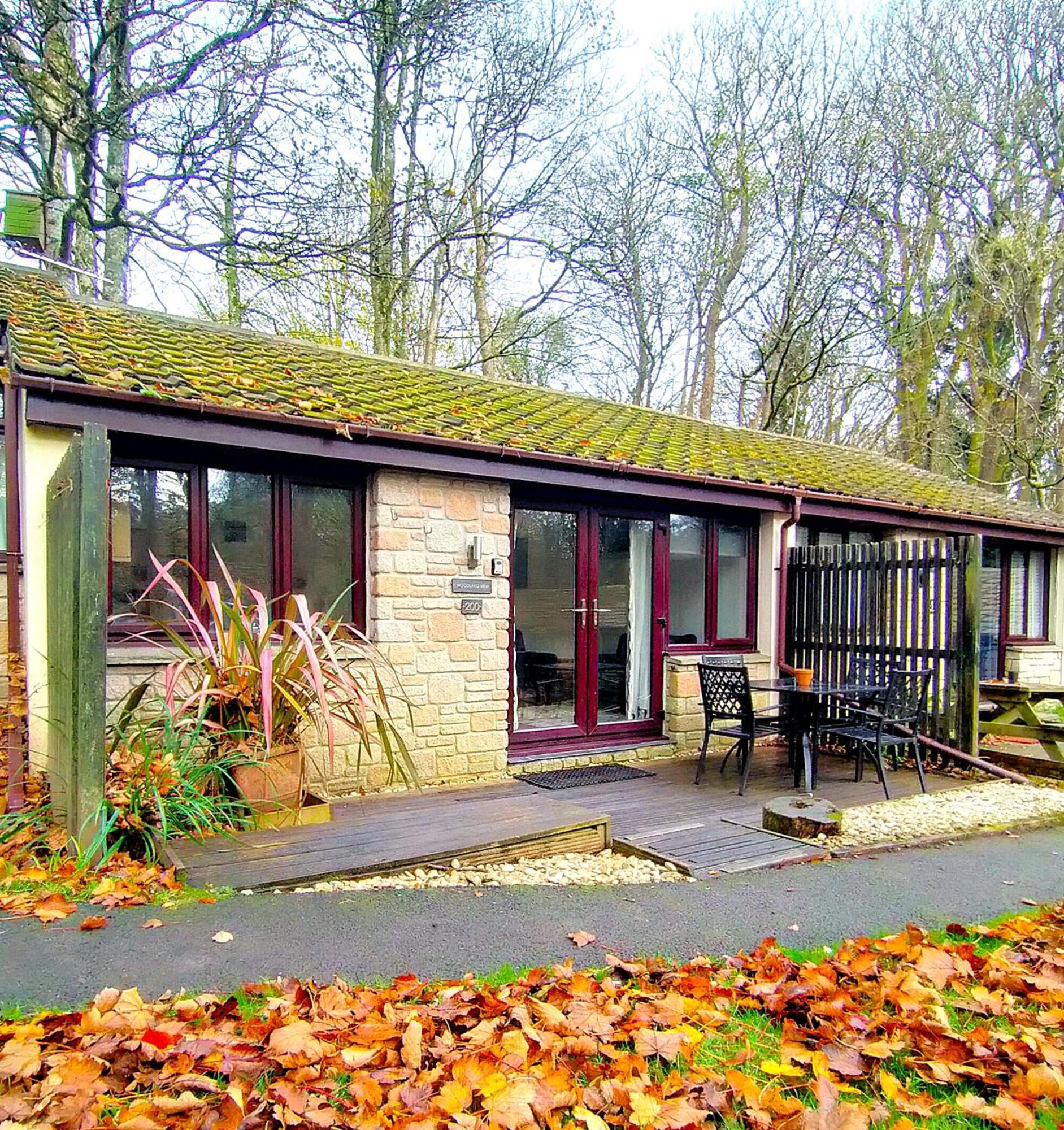 Woodland View - Families & Pets Villa Uny Lelant Bagian luar foto